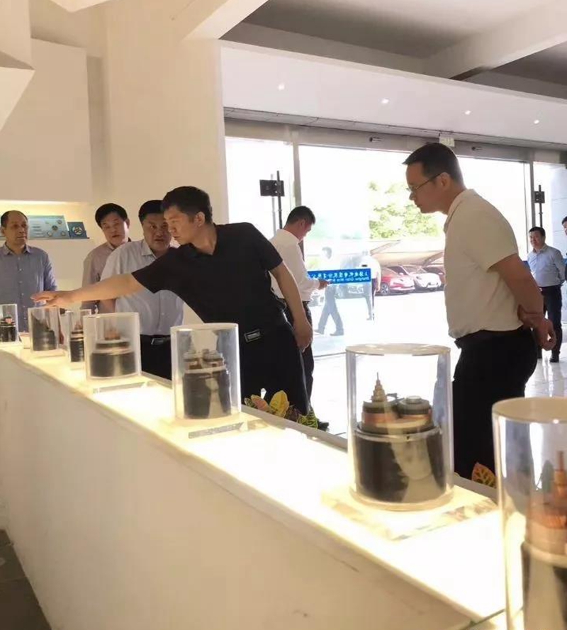 池州市長(zhǎng)雍成瀚等參觀調(diào)研起帆電纜總部4 池州市長(zhǎng)雍成瀚等參觀調(diào)研起帆電纜總部4