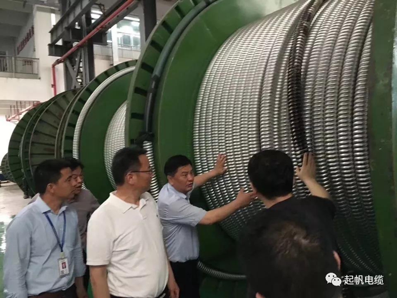 池州市長(zhǎng)雍成瀚等參觀調(diào)研起帆電纜總部5 池州市長(zhǎng)雍成瀚等參觀調(diào)研起帆電纜總部5